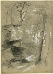 Studie van rotsen en bomen in Ice Glen, Stockbridge, Massachusetts, 1851